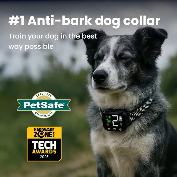 NooBark Anti-Bark Collar #1