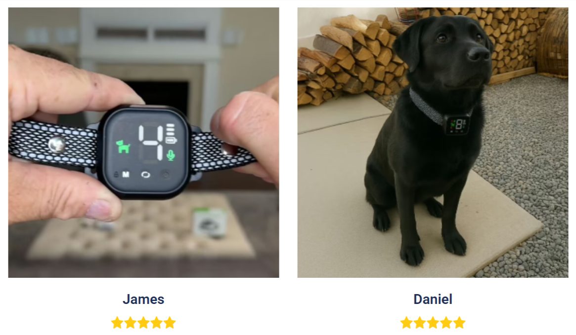 NooBark Anti-Bark Collar Customer review