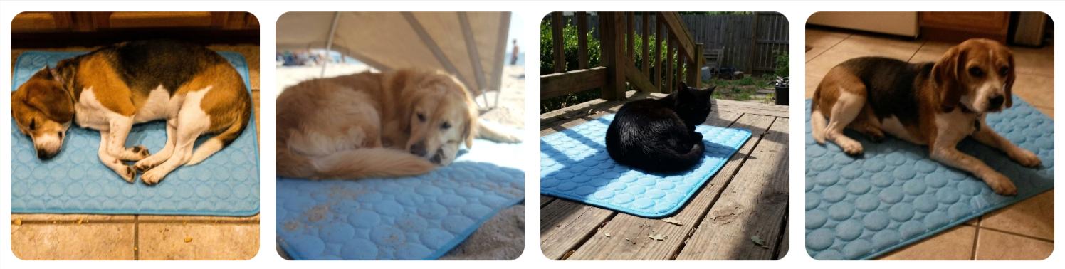 PetMade Cool Rest Customer review