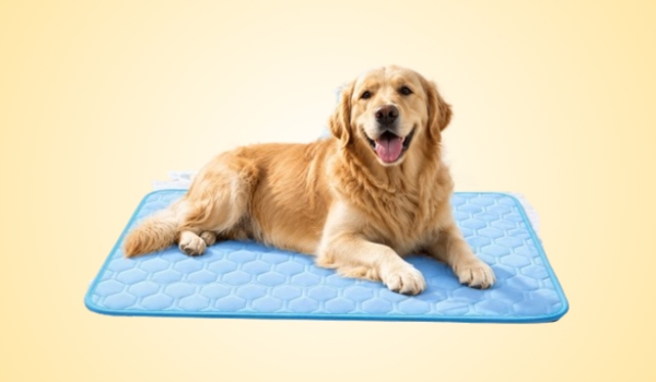 PetMade Cool Rest Reviews